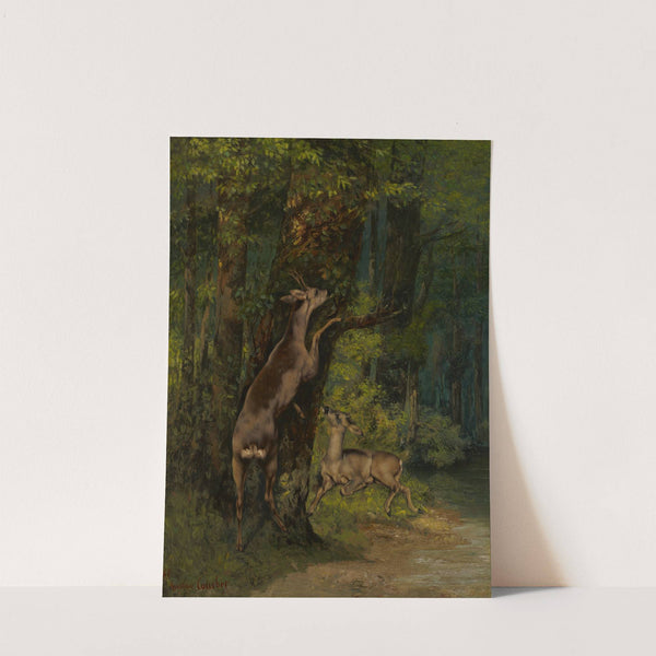 Deer in the Forest (1868) by Gustave Courbet