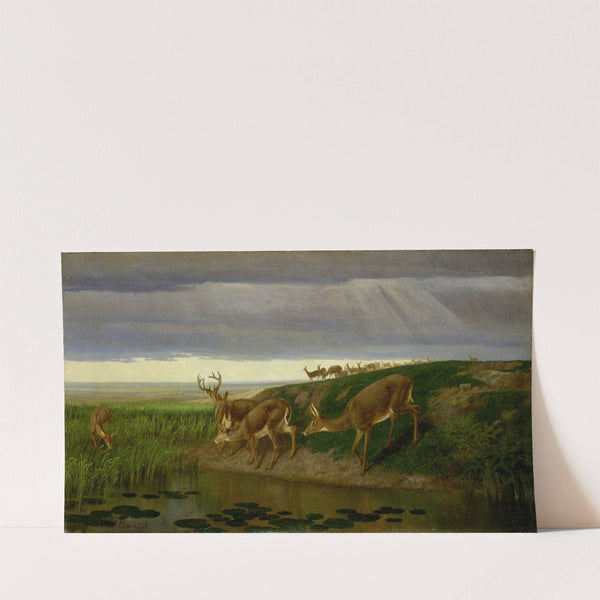 Deer on the Prairie (1884) by William Holbrook Beard