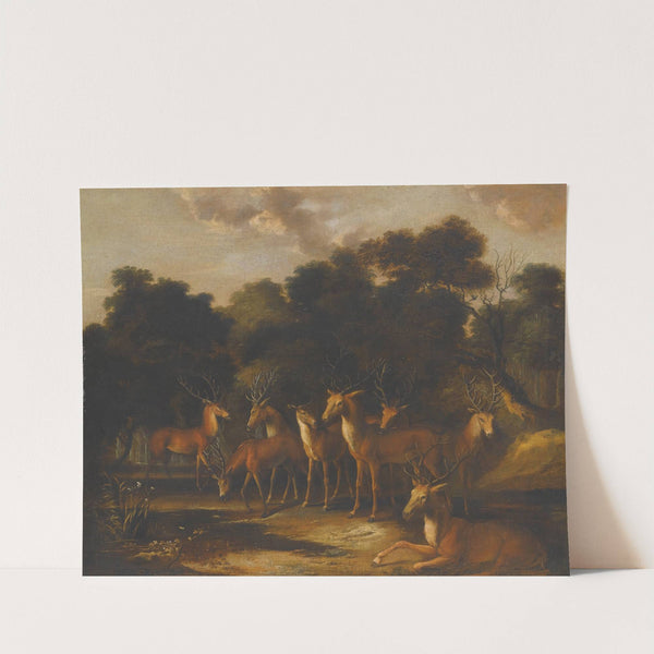 Deer Standing In A Clearing At A Waterhole (early 18th Century) by French School