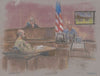 Defendant Nidal Malik Hasan during his court martial with witness Stephen Bennett and judge