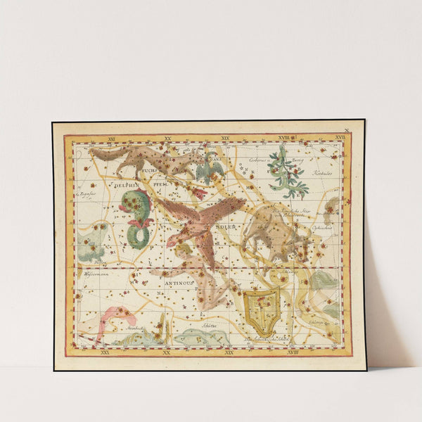 Delphin, Fuchs, Pfeil, Gans, Adler, Antinous, Das Sobieskische Schild and Der Königliche Stier von Poniatowski (1805) by Johann Elert Bode