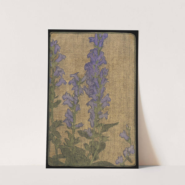 Delphinium by Hannah Borger Overbeck