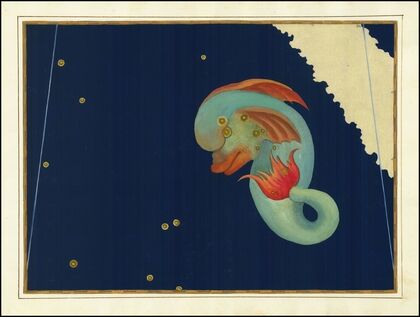 Delphinus (1603)