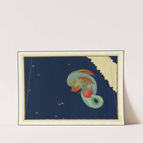 Delphinus (1603) by Johann Bayer