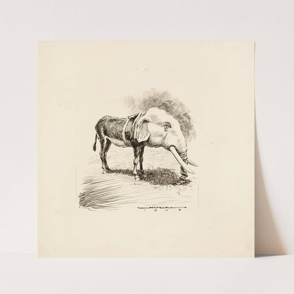 Dem. Jackass; My only chance for success in November is my striking resemblance to the G.O.P. (1908) by William Henry Walker