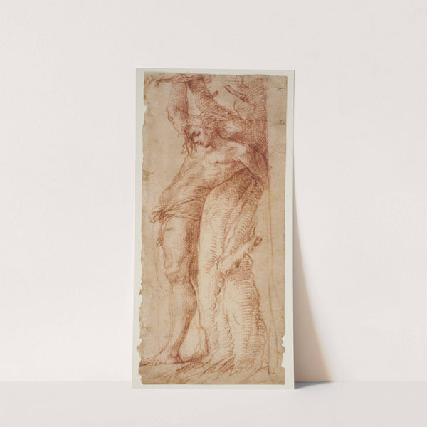 Den hellige Sebastian by Polidoro da Caravaggio