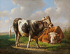 Der Angeber (Junger Stier und liegende Kuh)
