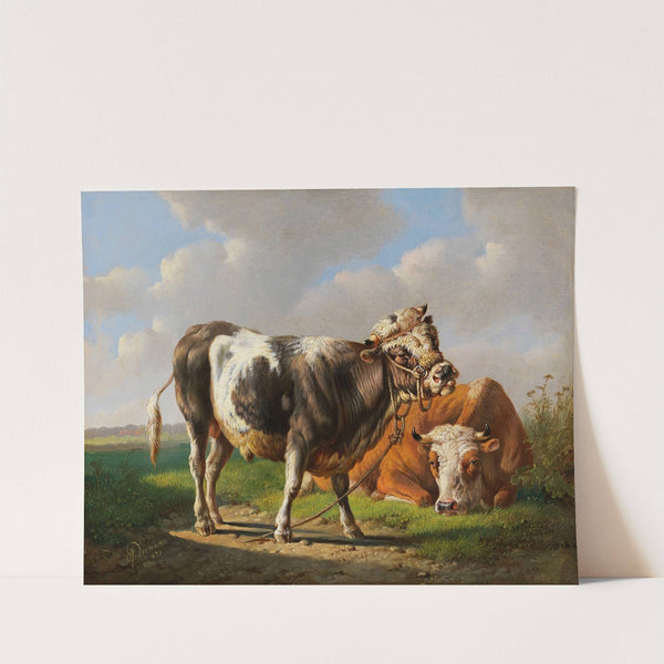 Der Angeber (Junger Stier und liegende Kuh) by Albertus Verhoesen