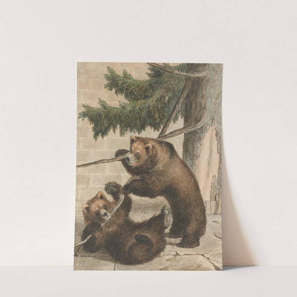 Der Bärengraben in Bern by Gottfried Mind