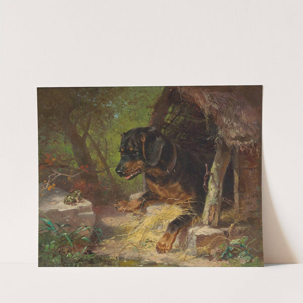 Der Frosch by Clara von Wille