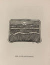 Der Gelbe kater Pl.09