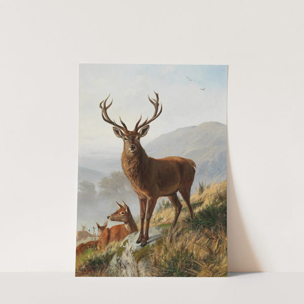 Der kapitale Hirsch by Carl Friedrich Deiker