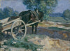 Der Karrengaul