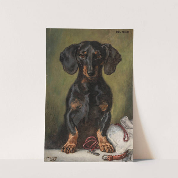 Der liebe, süße, kluge, fröhliche, treue Mungerl by Alexander Pock