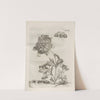 Der Raupen wunderbare Verwandelung und sonderbare Blumen-Nahrung Pl.098 (1679-1683) by Maria Sibylla Merian