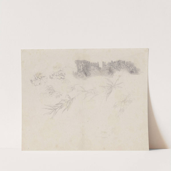 Der Schlosspark von Kleinheubach und Blattstudien by Louis Eysen