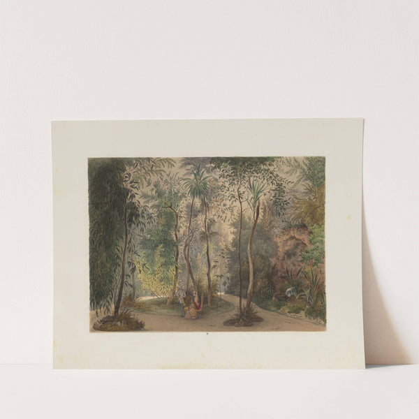 Der Wintergarten in der kaiserlichen königlichen Hofburg zu Wien Pl.04 by Franz Antoine