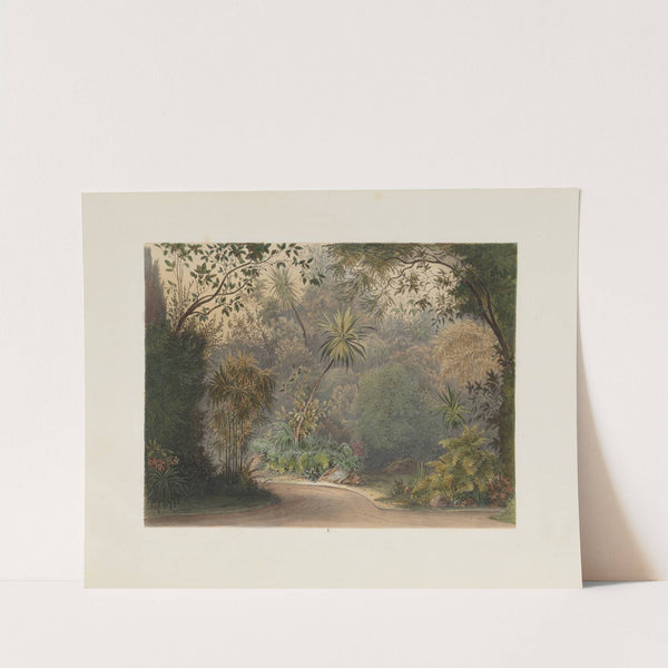 Der Wintergarten in der kaiserlichen königlichen Hofburg zu Wien Pl.05 by Franz Antoine