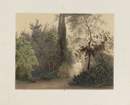 Der Wintergarten in der kaiserlichen königlichen Hofburg zu Wien Pl.08