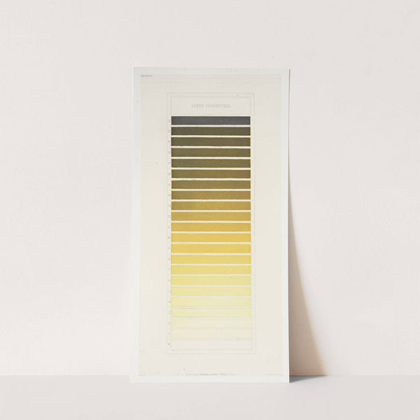 Des couleurs et de leurs applications aux arts industriels à l’aide des cercles chromatiques pl 19 (1864) by Michel Eugène Chevreul