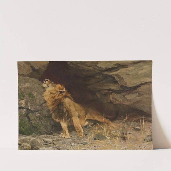 Des Löwen Erwachen by Wilhelm Kuhnert