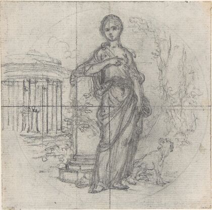 Design for a Box-Lid