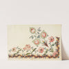 Design for a Printed Border by Anonymous
