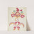 Design from a Proposed Portfolio by Majel G. Claflin
