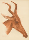Dessins et peintures d’Afrique pl 21 (1927)