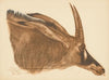 Dessins et peintures d’Afrique pl 22 (1927)