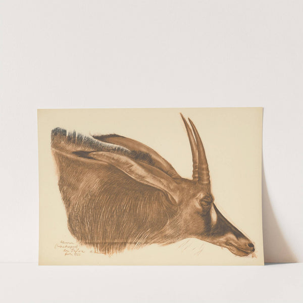 Dessins et peintures d’Afrique pl 22 (1927) by Alexandre Jacovleff