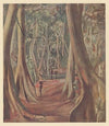 Dessins et peintures d’Afrique pl 39 (1927)