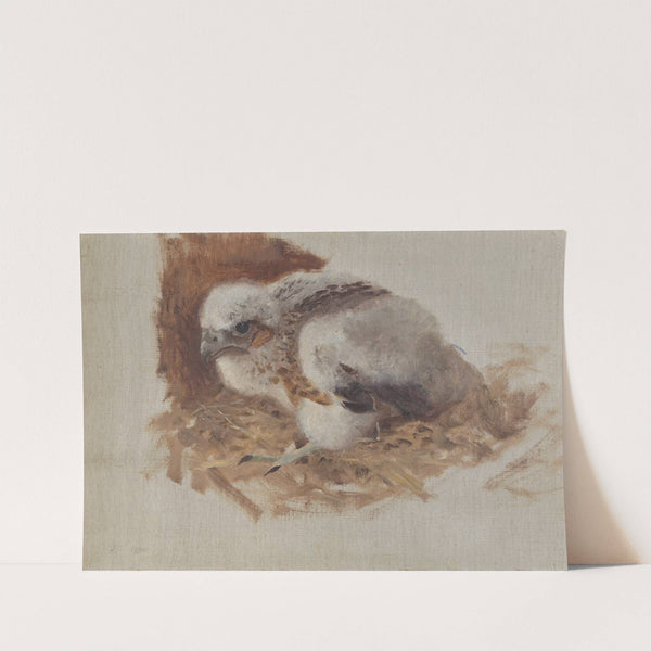 Detail Study of a Peregrine Falcon’s Nest (1896) by Bruno Liljefors