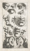 Details van gezichten