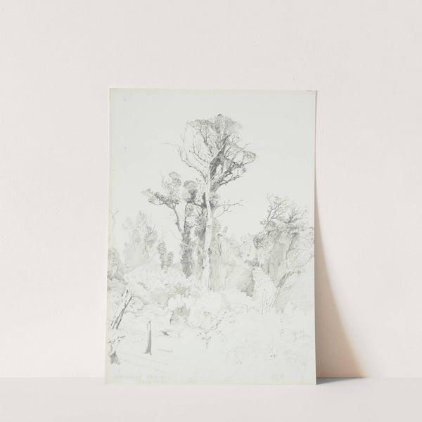 Detribalised natives, Taranaki by James Crowe Richmond