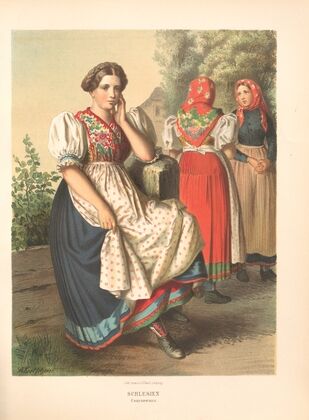 Deutsche Volkstrachten Pl.17 (1870)