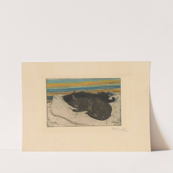 Deux chats sur un coussin (1898) by Théophile Alexandre Steinlen