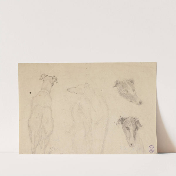 Deux esquisses de chiens, et deux croquis de tête de chien by Narcisse-Virgile Diaz de La Peña