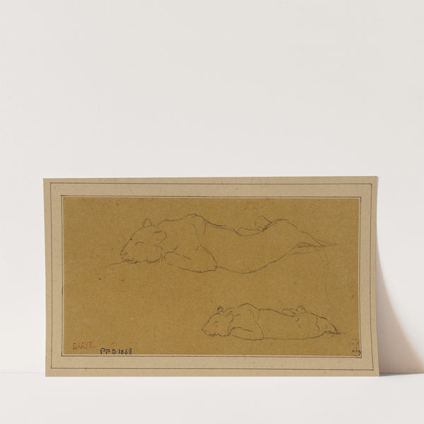 Deux études de panthère allongée (19th century) by Antoine-Louis Barye