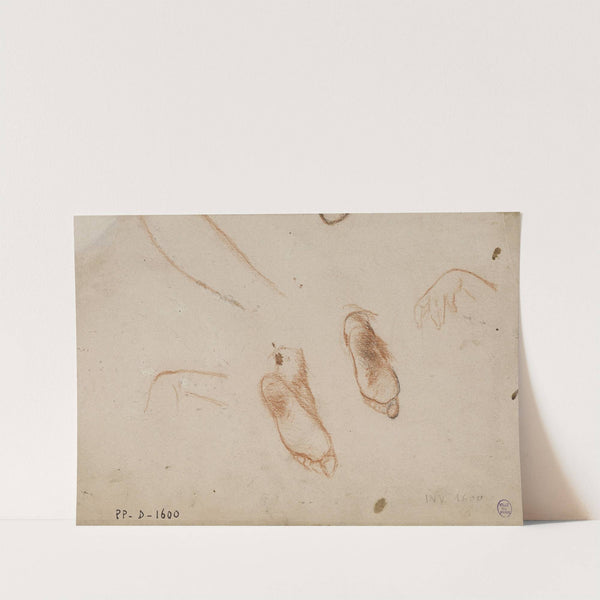 Deux études de pieds et de main by Narcisse-Virgile Diaz de La Peña