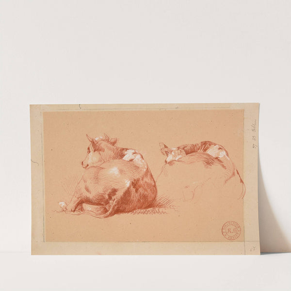 Deux études de vache couchée by Jacques-Raymond Brascassat