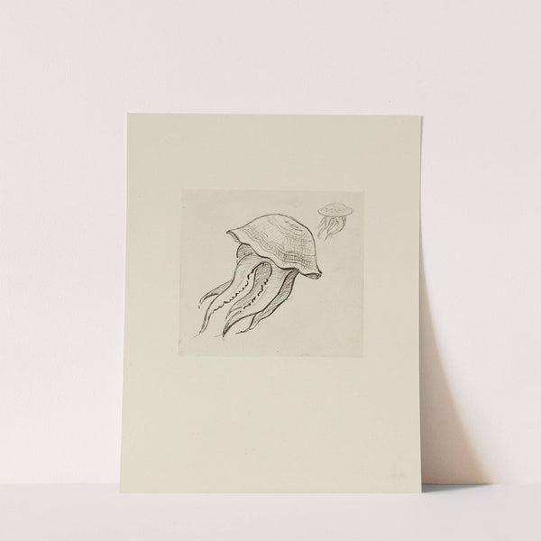 Deux méduses – dessin non utilisé (1920-1921) by Achille Granchi-Taylor