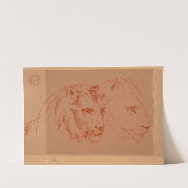 Deux têtes de lion by Jacques-Raymond Brascassat