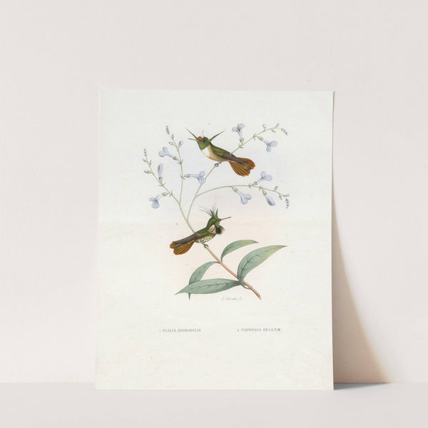 Diana Adorabilis, Paphosa Helenae (1874-1877) by Paul Eugène Mesplès