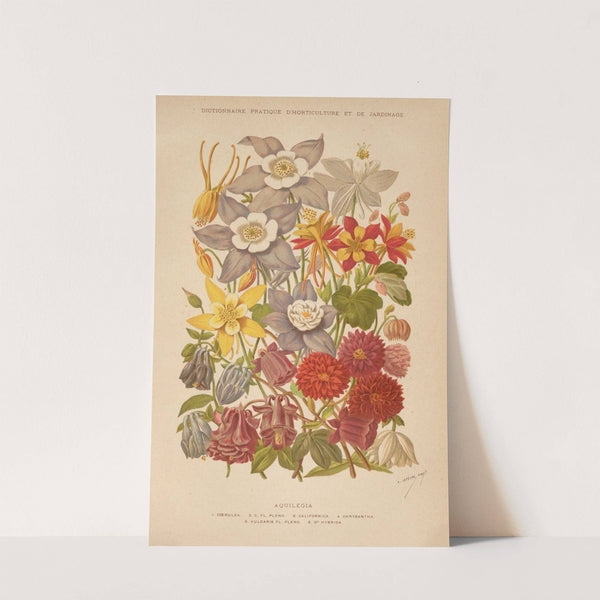 Dictionnaire pratique d’horticulture Pl.05 (1893) by George Nicholson