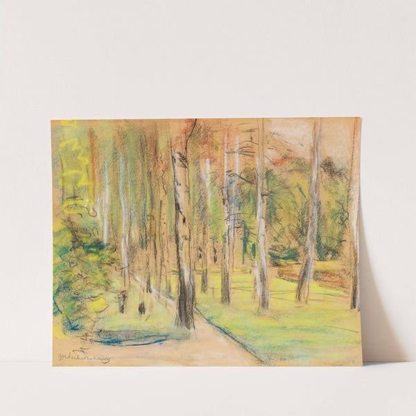 Die Birkenallee in Wannsee nach Nordwesten (1920) by Max Liebermann