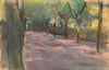 Die Colomierstraße in Wannsee