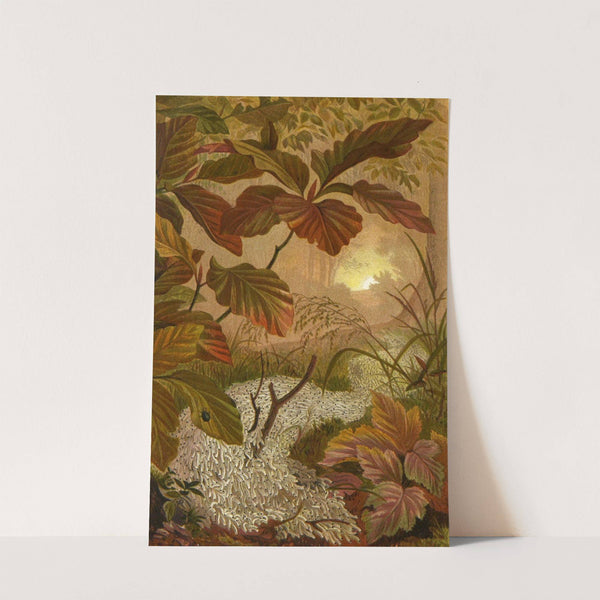 Die Insekten, Tausendfüssler und Spinnen Pl 01 by Alfred Edmund Brehm