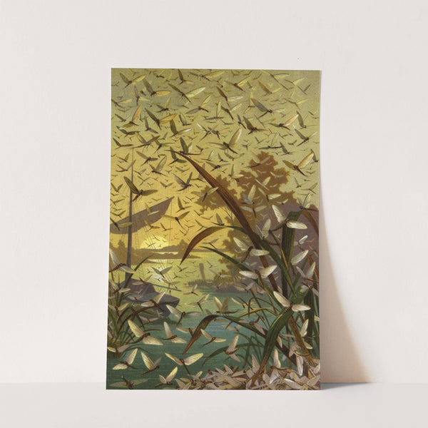 Die Insekten, Tausendfüssler und Spinnen Pl 03 by Alfred Edmund Brehm