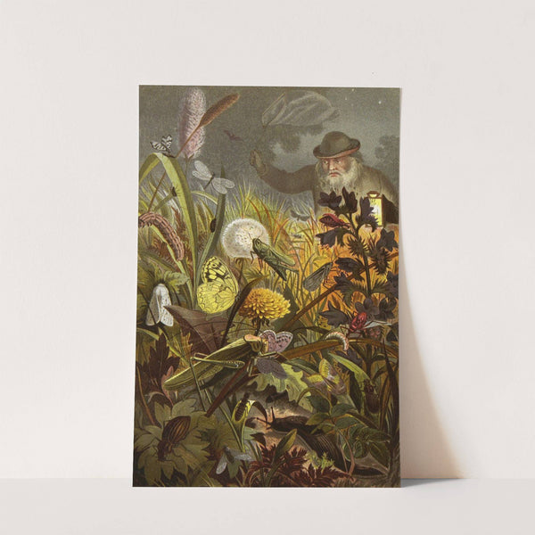 Die Insekten, Tausendfüssler und Spinnen Pl 07 by Alfred Edmund Brehm